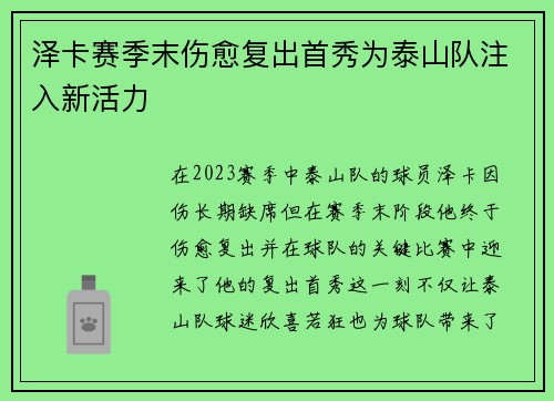 泽卡赛季末伤愈复出首秀为泰山队注入新活力